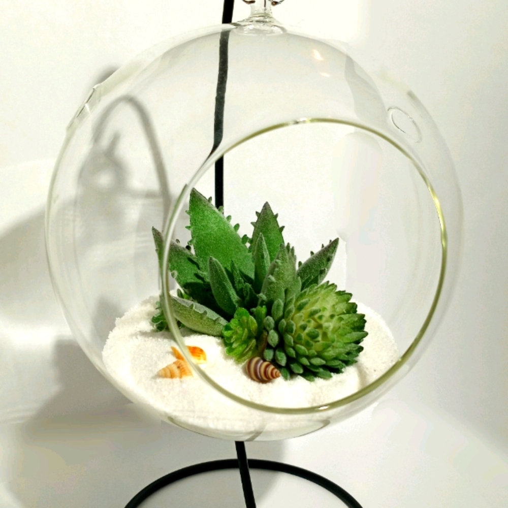 Suspended Double Succulent Globe Display